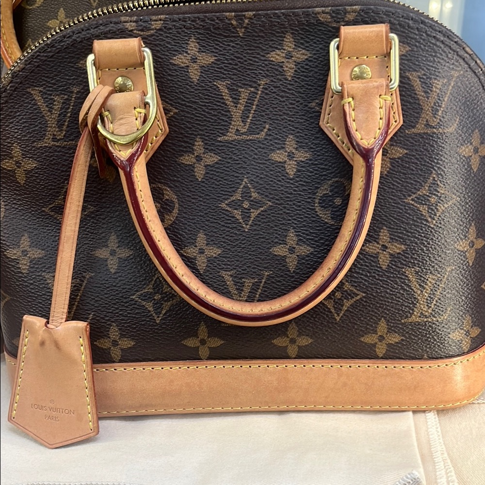 Louis Vuitton Brown Mini Bags